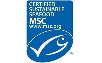 Lund’s Fisheries Now Proud to Offer MSC-Certified Illex Squid