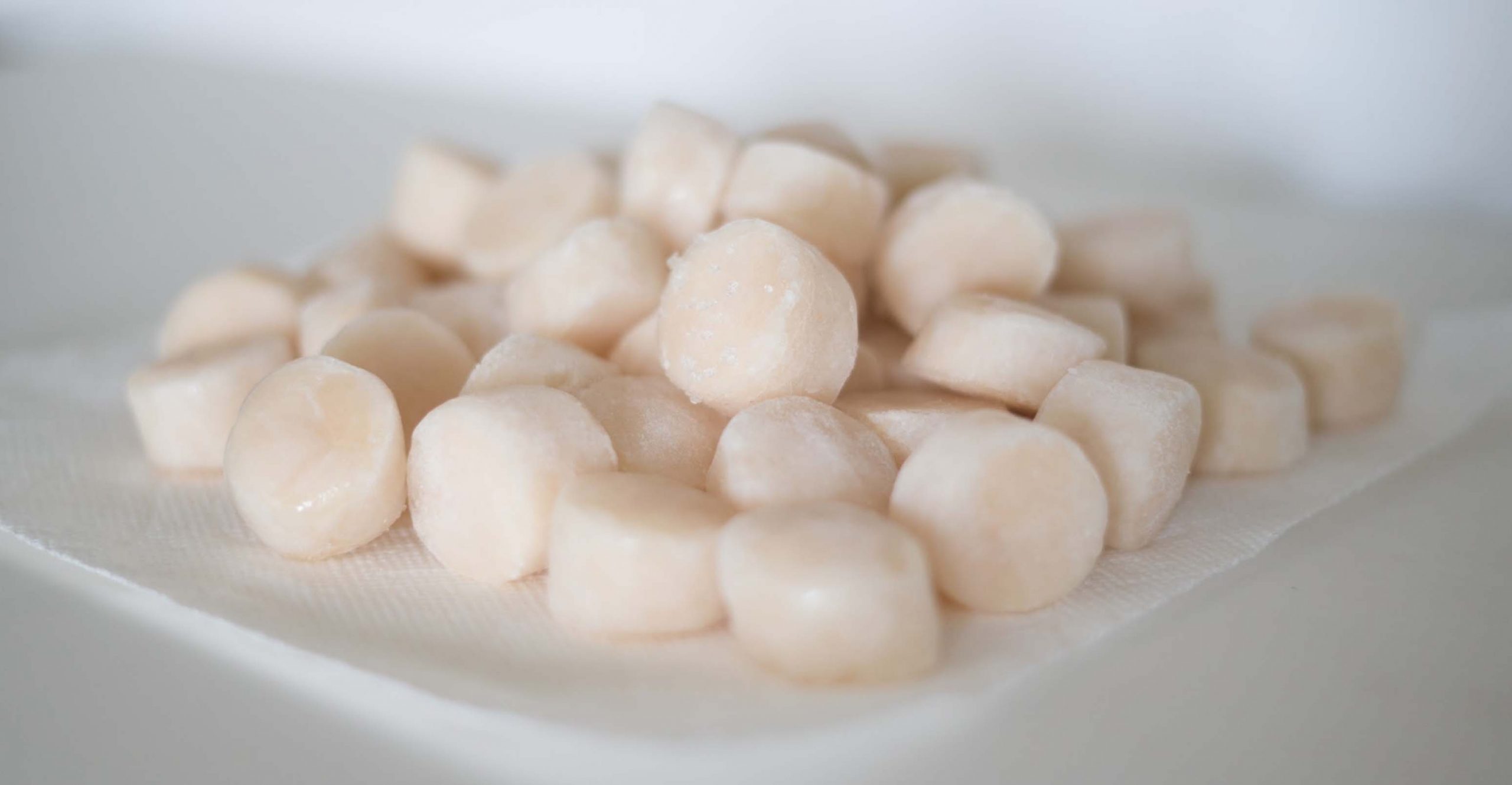 U10 Dry Scallops Big Discount