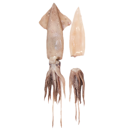 California Market Calamari Squid