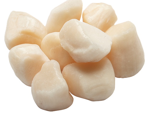 China Bay Scallops: Sea Legend by Lund's Fisheries