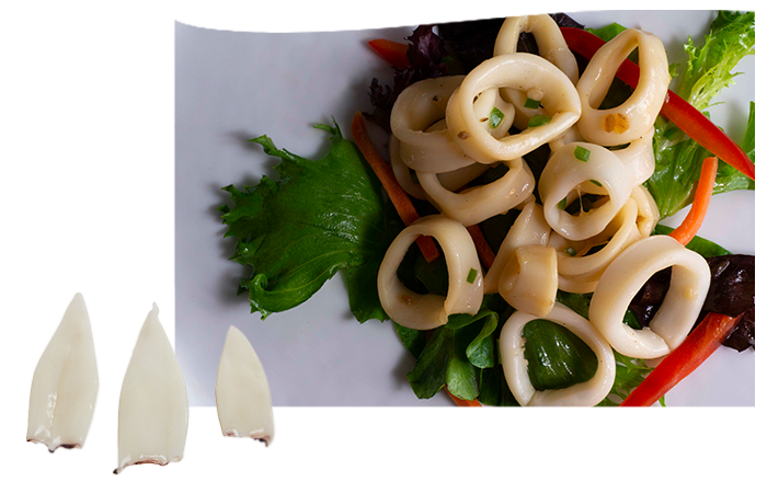 Imported Loligo Calamari Collage: Traditionally Cleaned, Ready-to-Cook