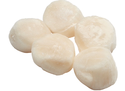 Japanese Sea Scallops: Sea Legend by Lund's Fisheries